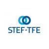 logo-stef-tfe